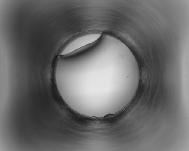 X0000095910544200802081055