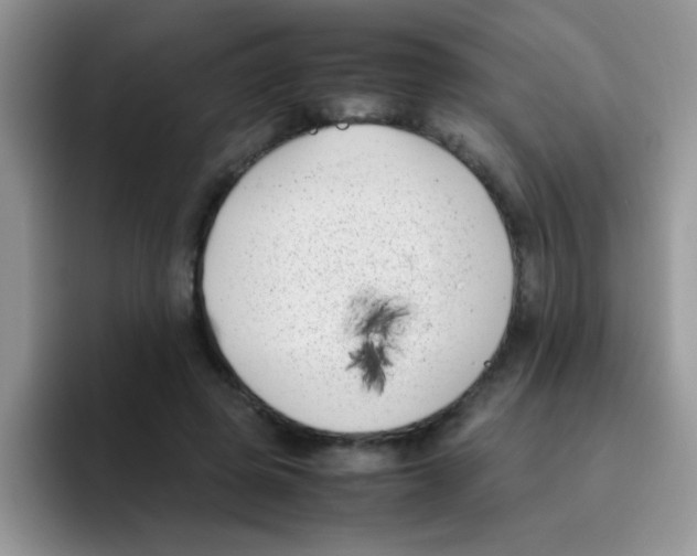 X0000095910545200802081055