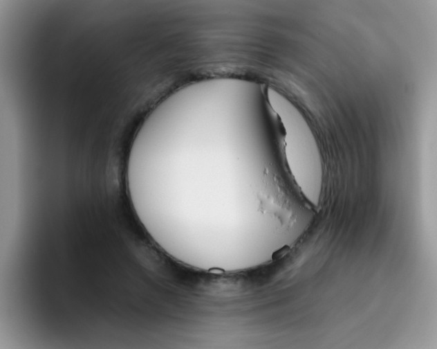 X0000095910546200802081055