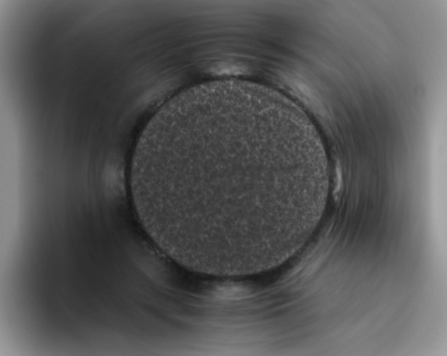 X0000095910547200802081055