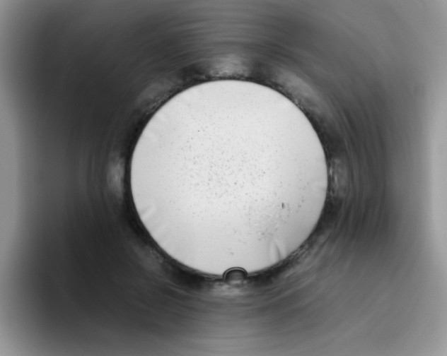 X0000095910550200802081055