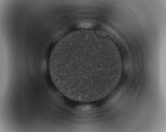 X0000095910551200802081055