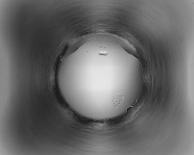 X0000095910552200802081055