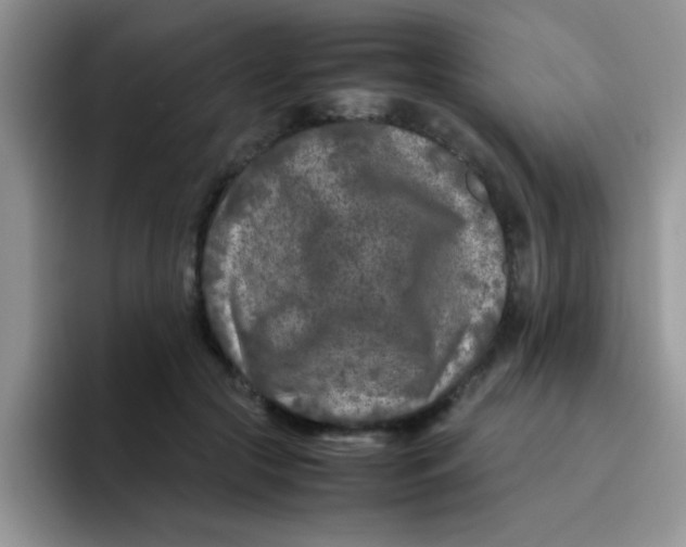 X0000095910553200802081055