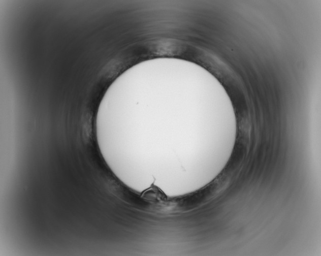 X0000095910554200802081055