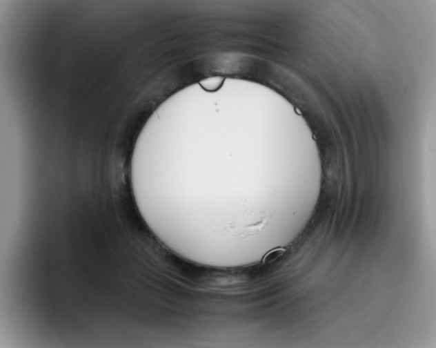 X0000095910555200802081055