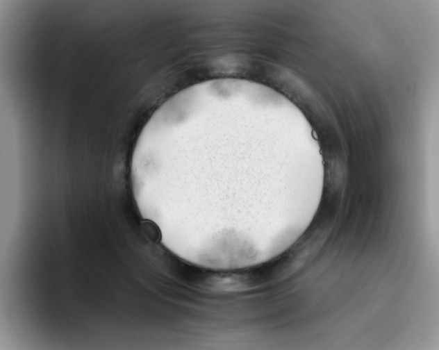 X0000095910557200802081055