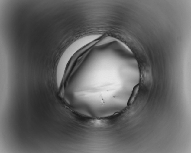 X0000095910558200802081055