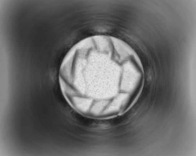 X0000095910559200802081055