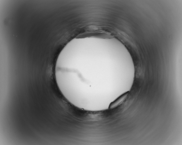 X0000095910560200802081055