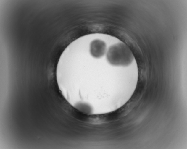 X0000095910561200802081055