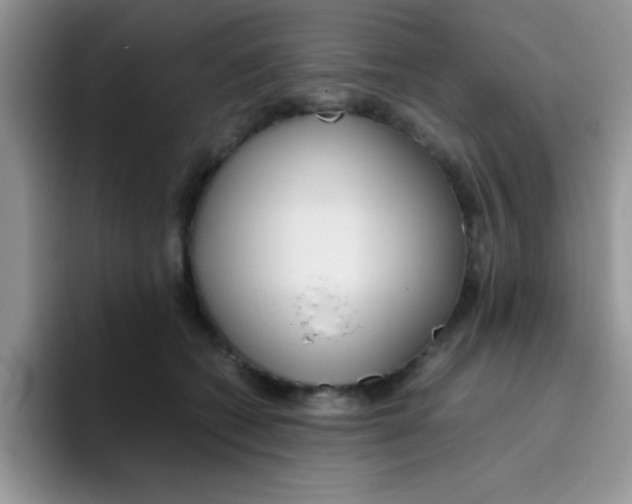 X0000095910562200802081055