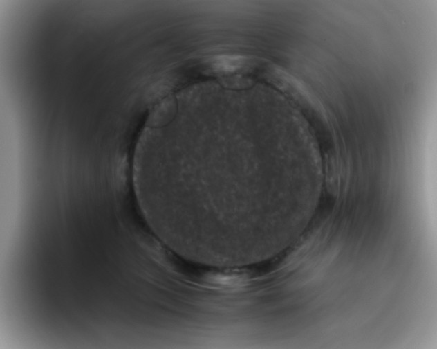 X0000095910563200802081055