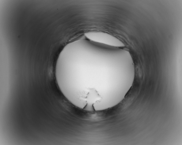 X0000095910564200802081055