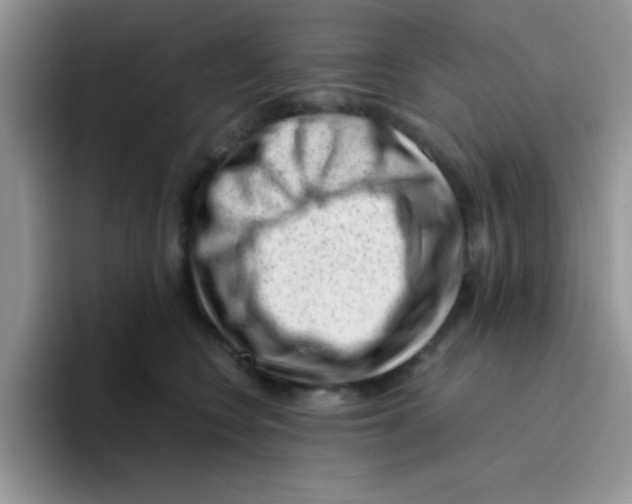 X0000095910566200802081055