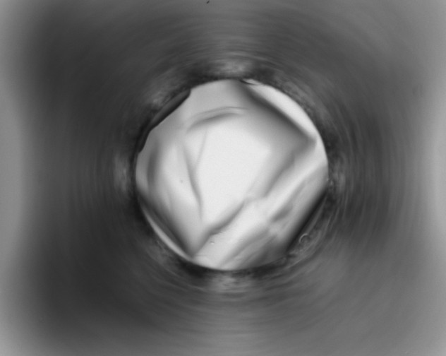 X0000095910568200802081055