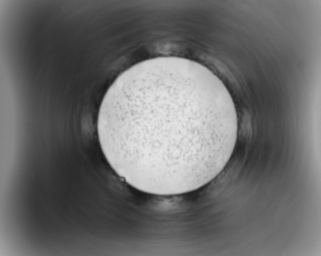 X0000095910569200802081055