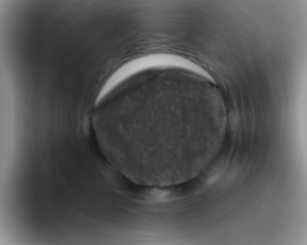 X0000095910570200802081055