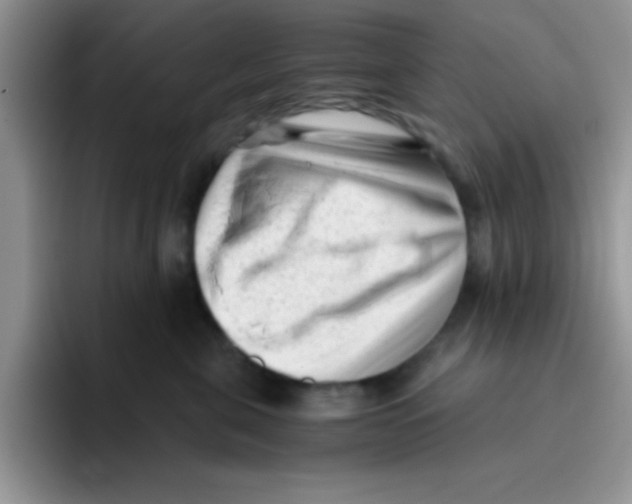 X0000095910571200802081055