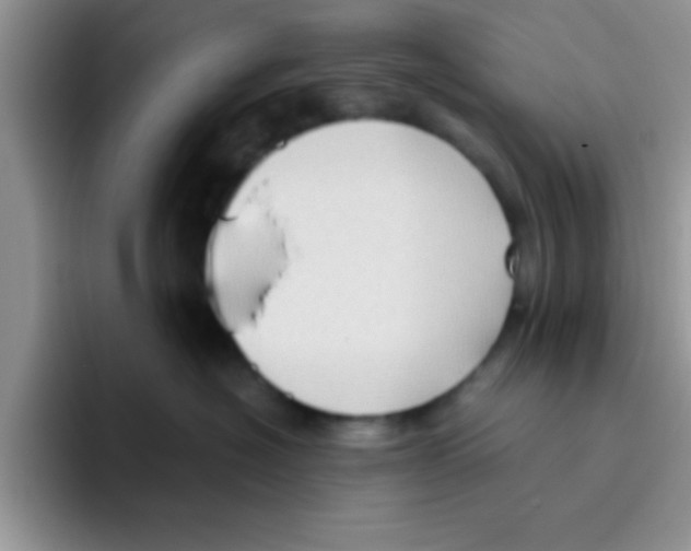 X0000095910574200802081055