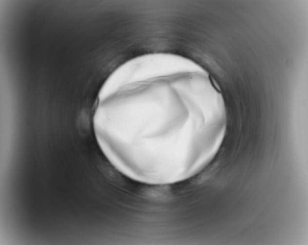 X0000095910576200802081055