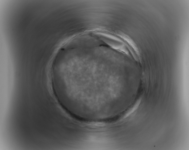 X0000095910577200802081055