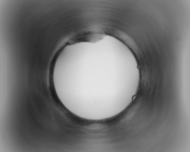 X0000095910578200802081055