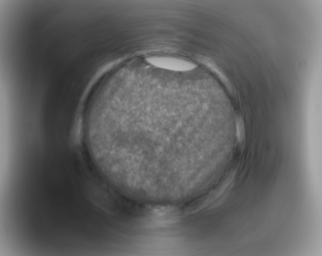 X0000095910579200802081055