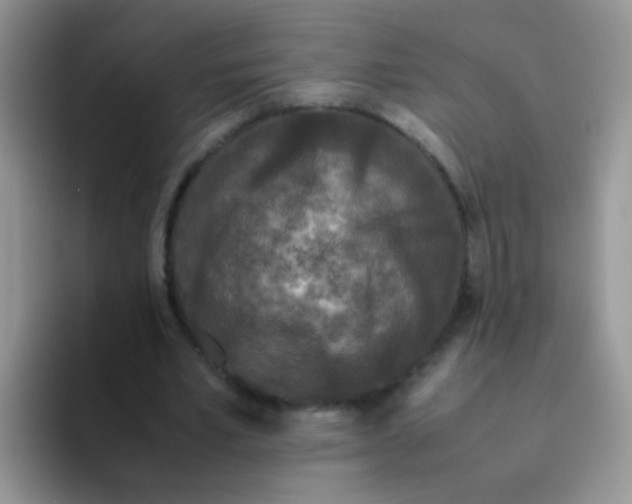 X0000095910581200802081055