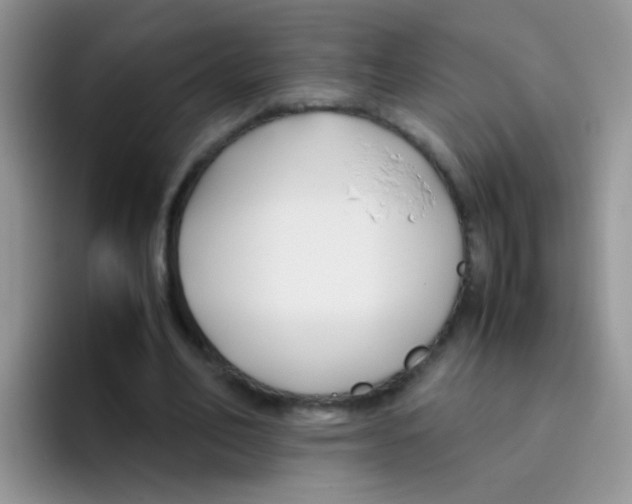 X0000095910582200802081055