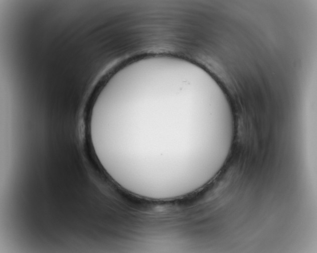 X0000095910584200802081055