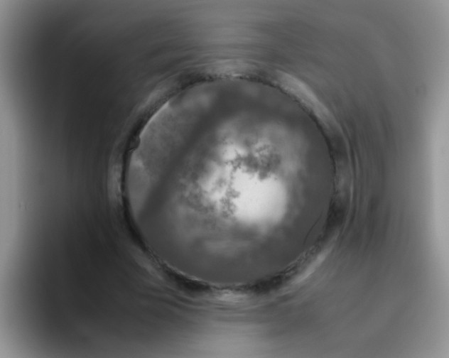 X0000095910585200802081055