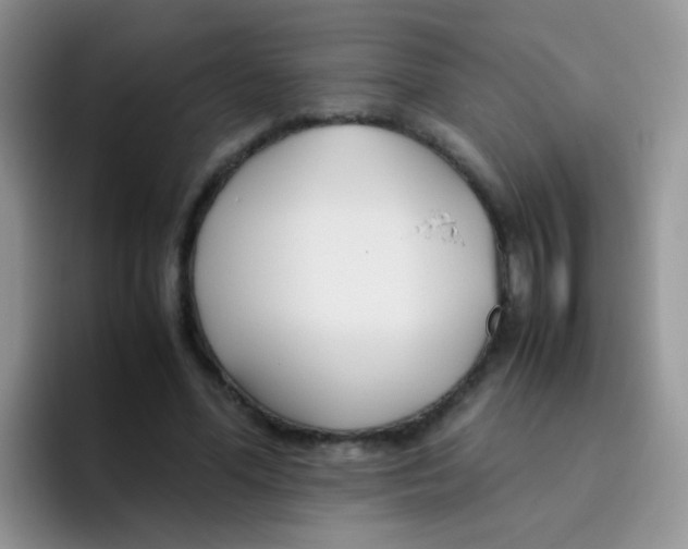 X0000095910588200802081055