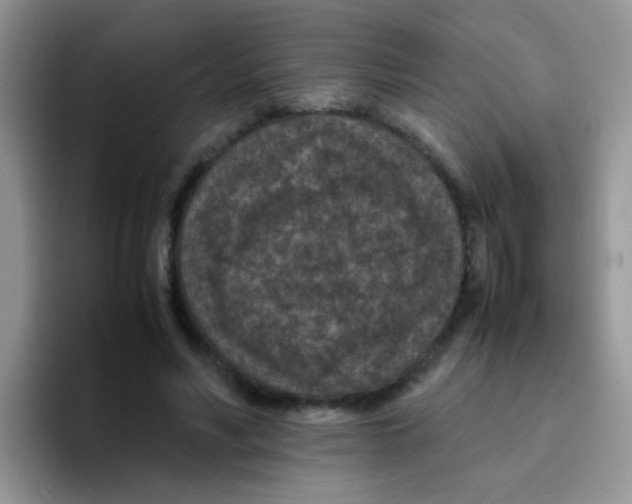 X0000095910590200802081055