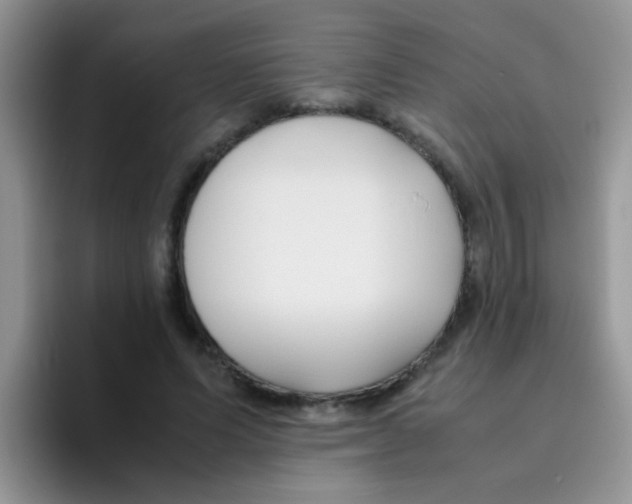 X0000095910591200802081055