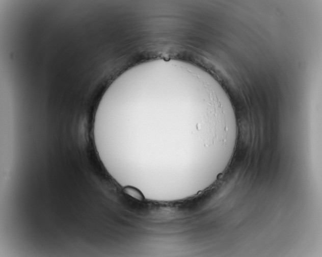 X0000095910594200802081054