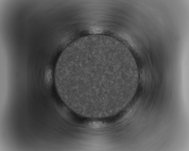 X0000095910598200802081054