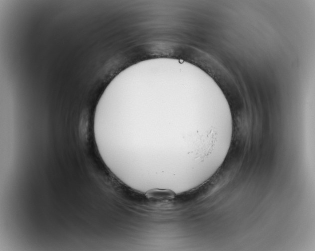 X0000095910600200802081054