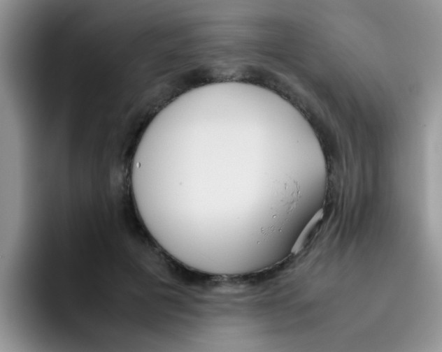 X0000095910601200802081054