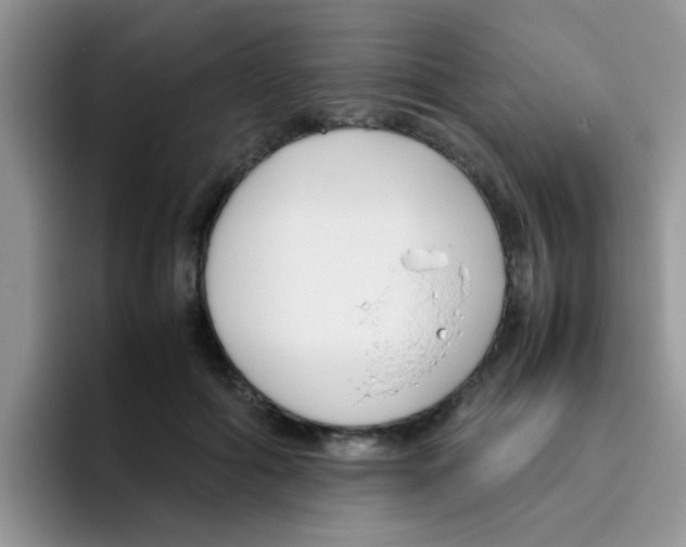 X0000095910602200802081054