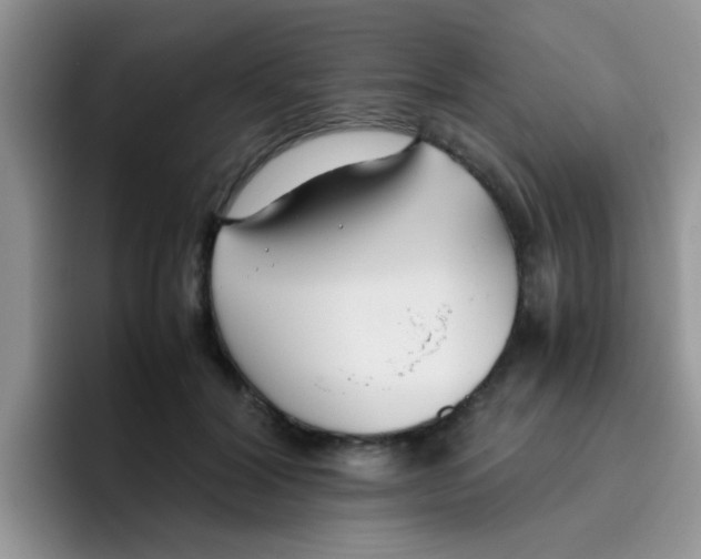 X0000095910604200802081054