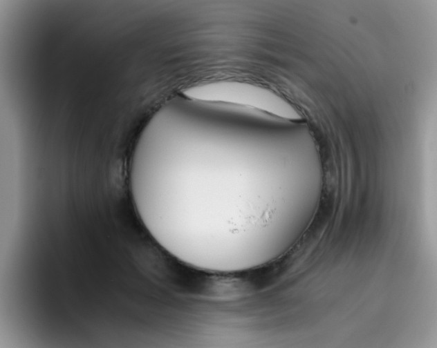 X0000095910605200802081054