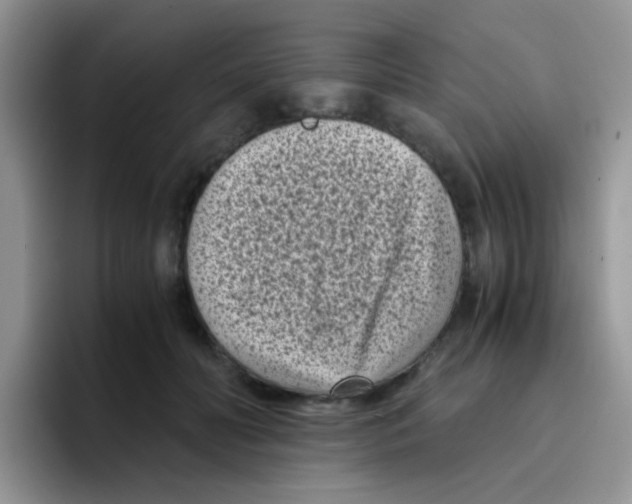 X0000095910606200802081054