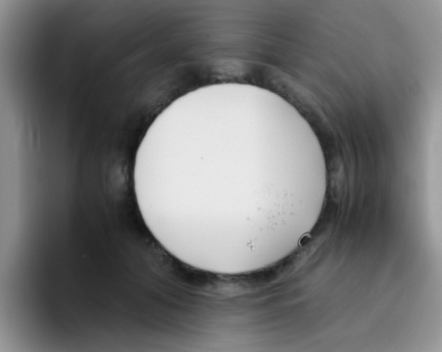 X0000095910608200802081054