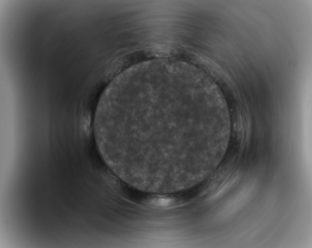 X0000095910610200802081054