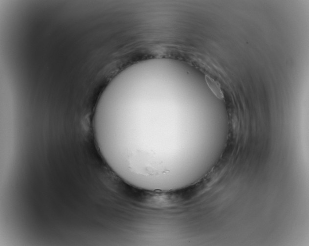 X0000095910611200802081054