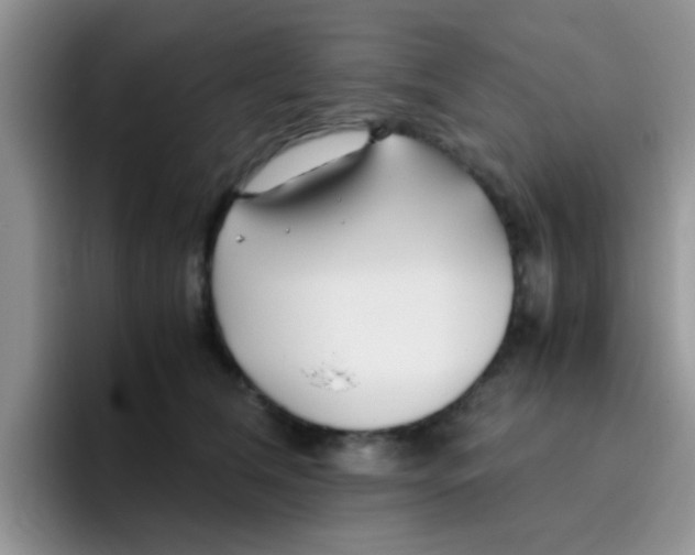 X0000095910612200802081054