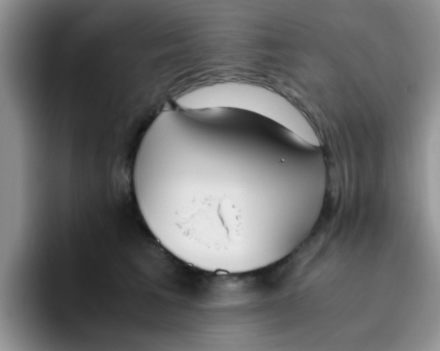 X0000095910613200802081054