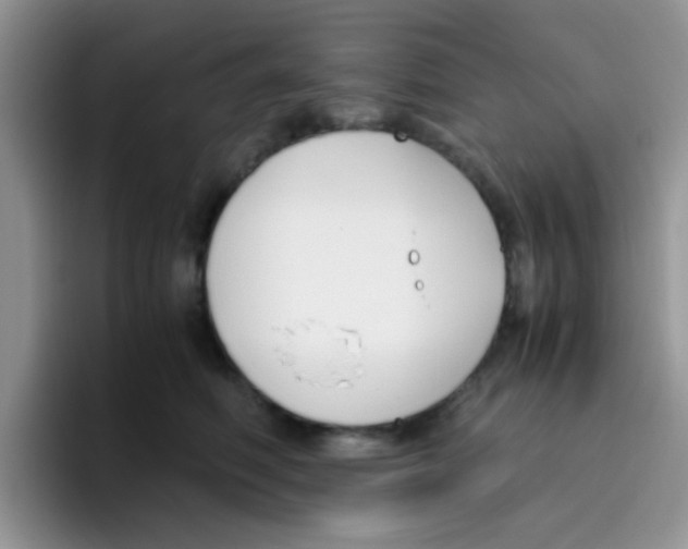 X0000095910614200802081054