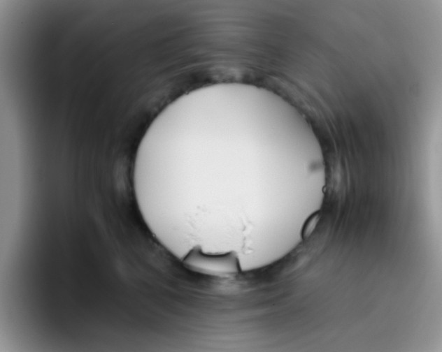 X0000095910616200802081054